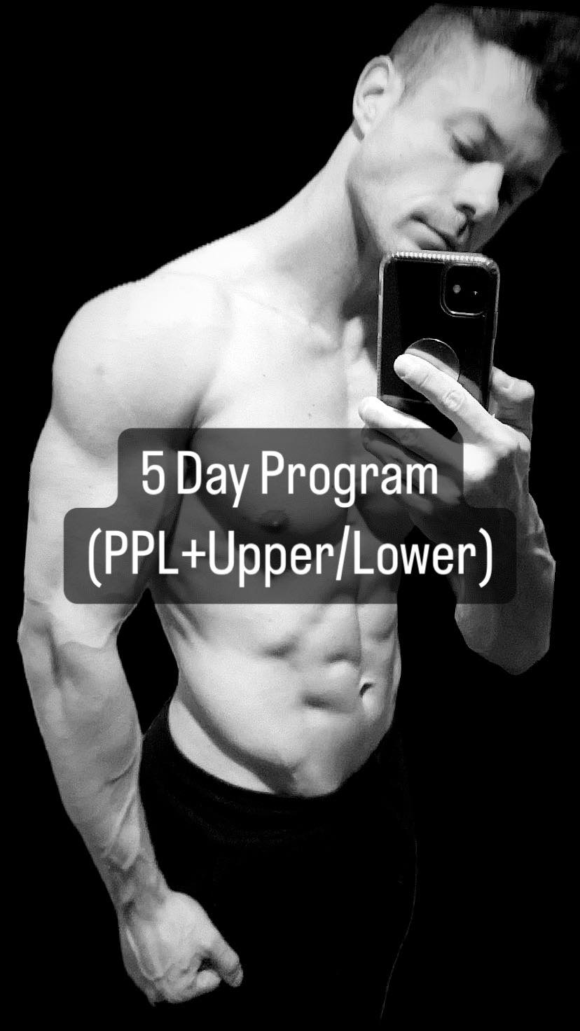 5 day bodybuilding online program