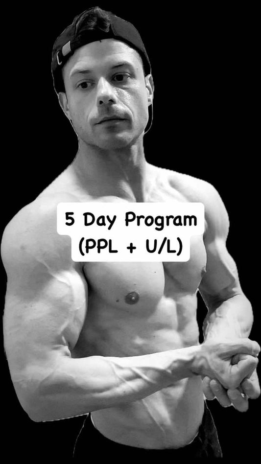 5 Day Program (PPL + Upper/Lower)